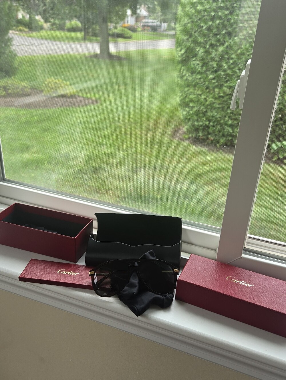 Cartier Sunglasses